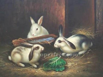 am025D Tier Kaninchen Ölgemälde